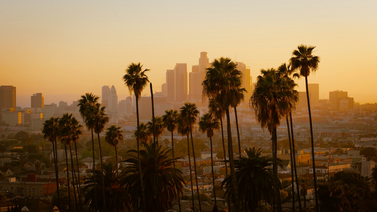 Palm trees and the Los Angeles skyline at sunset